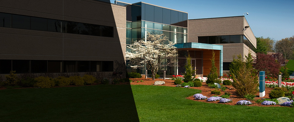 Lake Grove Landscapers