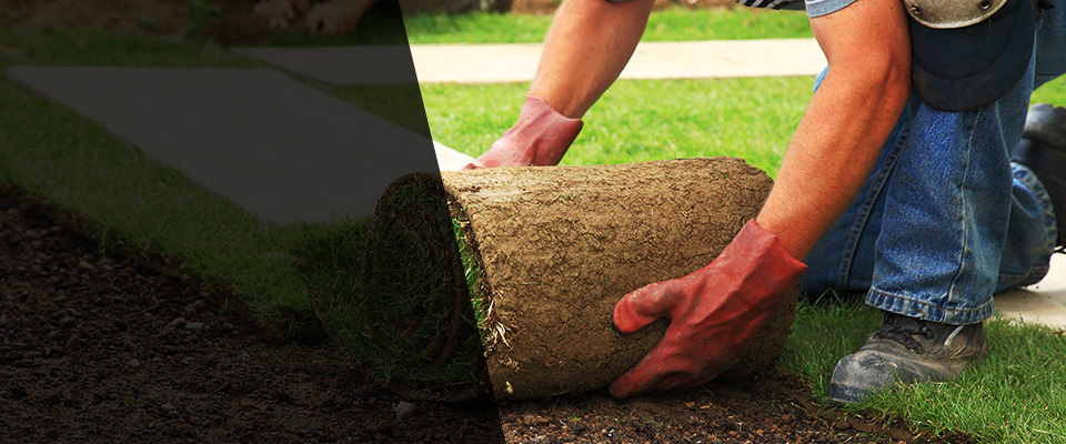 Lake Grove Landscapers